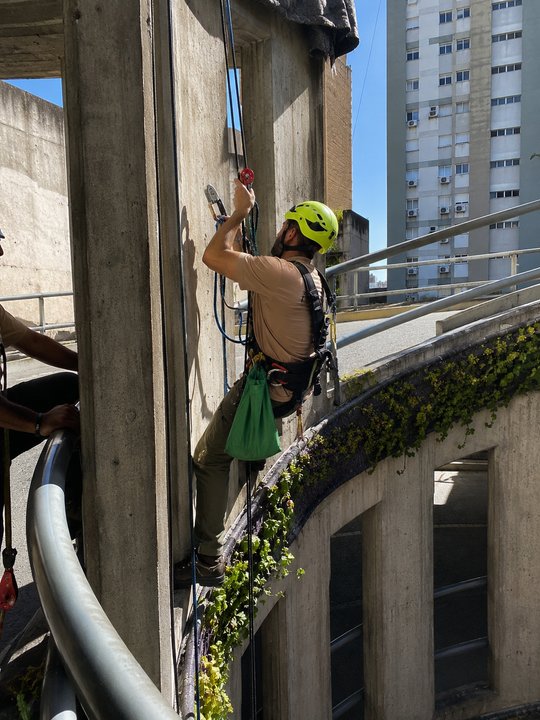 Foto del proyecto